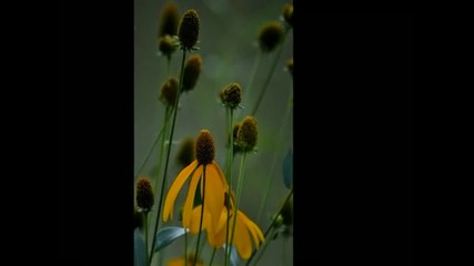 One day with my camera...!