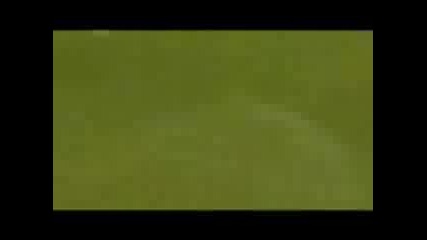 David Beckham.3gp