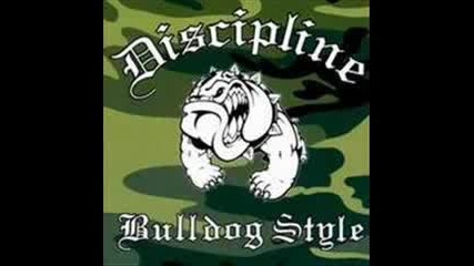 discipline - last of the hippies.flv