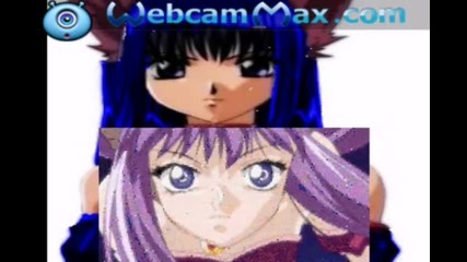 rene transform 