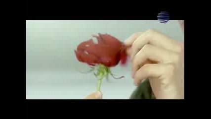 Novo - Emiliq - Sulza 