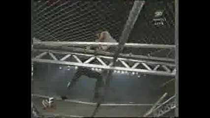 Wwf / Wwe Tribute To The Show