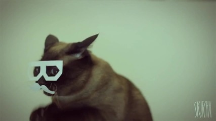 Dubstep cat ;x