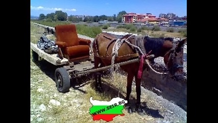 Спецялно эа шумен