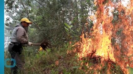 Firefighters in Dominican Republic Battle Blaze...