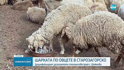 Въвеждат 10-километрова зона за наблюдение около казанлъшкото село Шейново