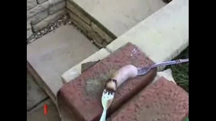Смях До Припадък