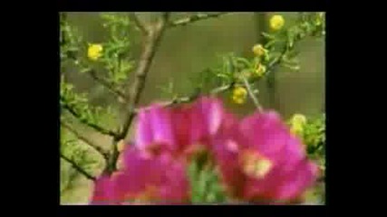 Andre Rieu - I Love You