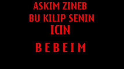 Aydin+zeyneb