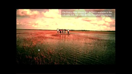 Flo Rida - Wild Ones ft. Sia