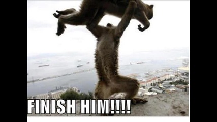 Funy Pictures 
