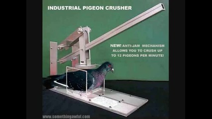 Pigeon Crusher - I Hate Slags 
