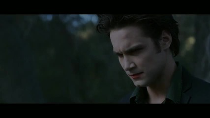 Пародия на New Moon 
