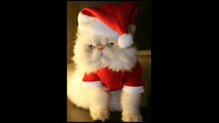 Jingle Bells - Basshunter remix 