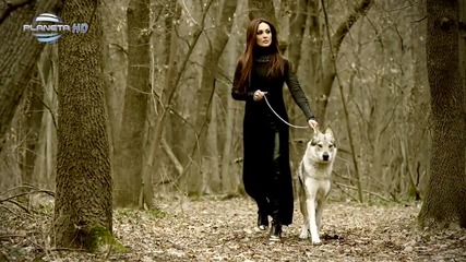 Глория - Безсъние / Insomnia ( Официално видео ) Full Hdtv 1080p