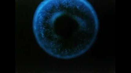 Bbc - David Attenborough's "the Living Planet" - s01e05 - Seas of Grass (1984)