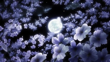 [amv] Live Again