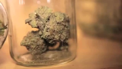 Kush 101 - Michelob Hd