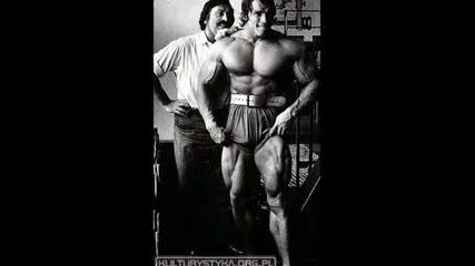 Arnold Schwarzenegger The bodybuilder