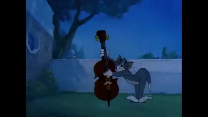 [hq] Tom and Jerry [hq]