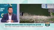 Ивайло Найденов: Няма риск за работата на АЕЦ „Козлодуй“ въпреки ниското ниво на Дунав