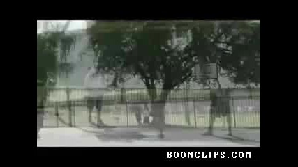 Basketball Gymnasticsstics 