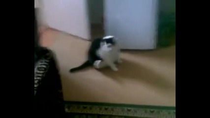 Много е лошо да си дебел