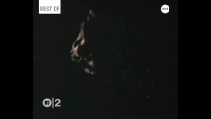cradle of filth - born in a burial grown