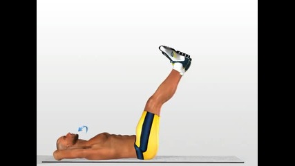 New Abs - Ab Gym exercise ( female male )