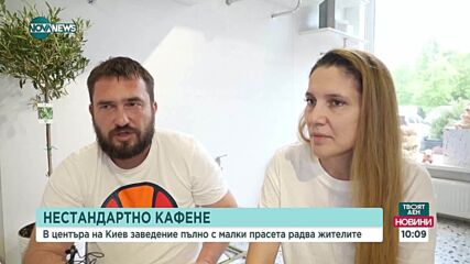 Заведение, пълно с малки прасета, радва жителите в центъра на Киев