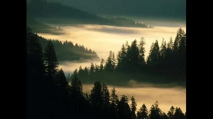 Musica Xamanica