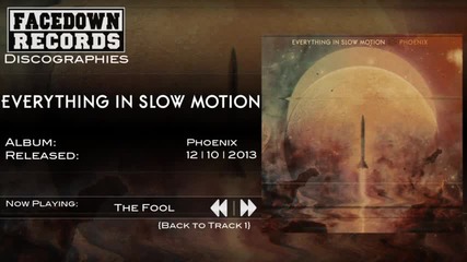 Everything in Slow Motion - The Fool