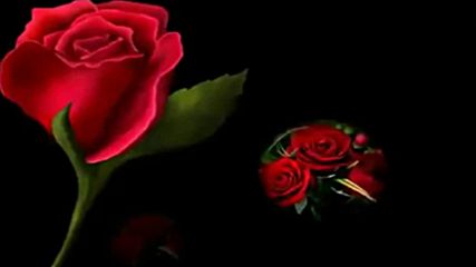 Рози,рози,рози! ... ... ( Frederic Delarue music) ... ...