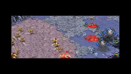 Marines High Quality