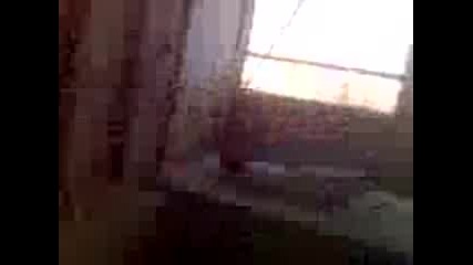 Антон скача