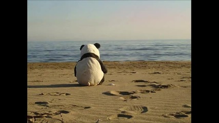 Sergiu Teremtus - The Line Between Us ( Original Mix )