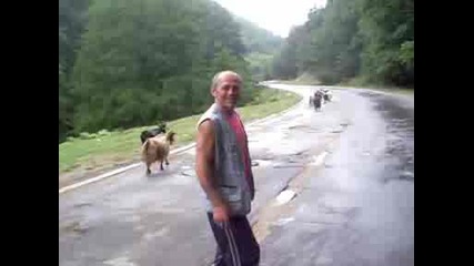 Doene Na Kozi