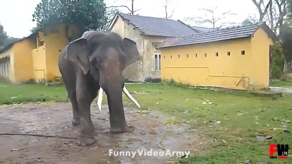 Смях - Fail Compilation February 2013