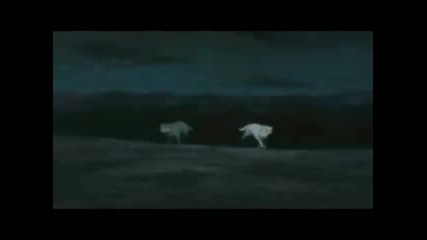 Wolfs Rain - Temptation.wmv