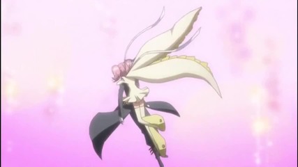 Time of Dying- Ikuto Amv