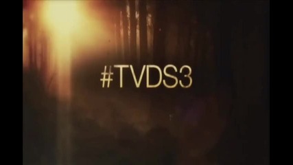 The Vampire Diaries - 3 season // Delena