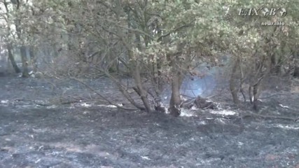 Голям пожар гори в близост до селата Лесово, Малко кирилово и Вълча поляна