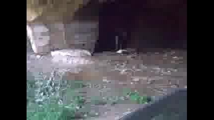 baba holandka