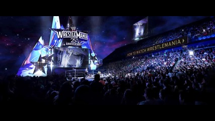 The 25th Anniversary Of Wrestlemania