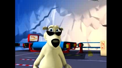 Polar Bear