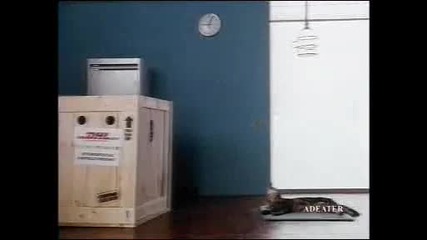 Не се отваряй