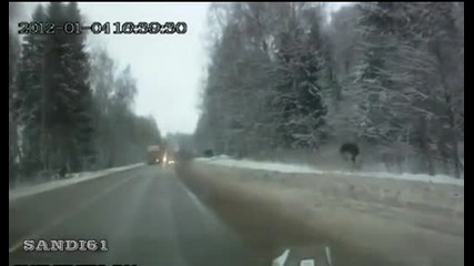 Лос излиза на пътя