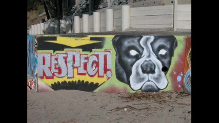 !Excluzive!Respect - Ni tA biVa my Project