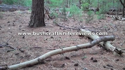 Bushcraft Knife Review - Cold Steel Bushman review