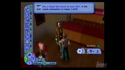 The Sims
